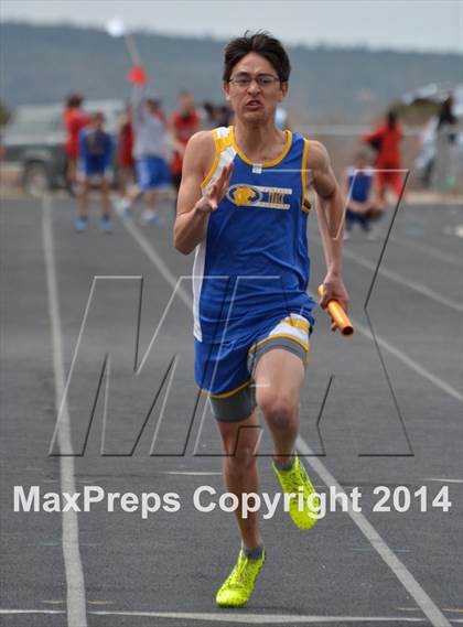 Thumbnail 2 in Questa Wildcats Relays photogallery.