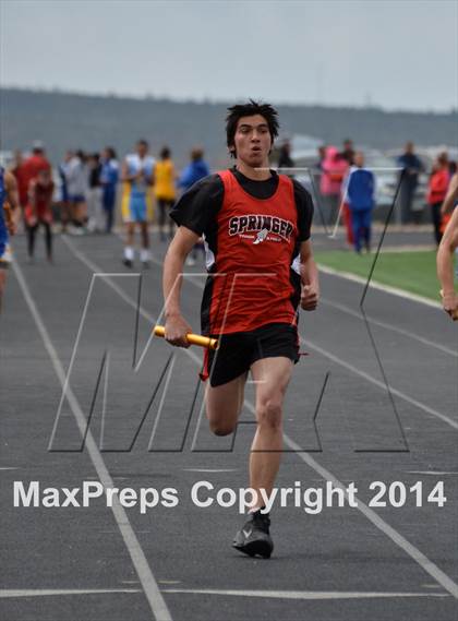 Thumbnail 1 in Questa Wildcats Relays photogallery.