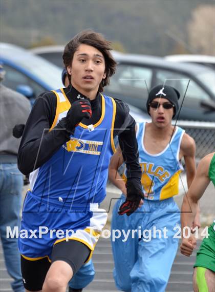 Thumbnail 1 in Questa Wildcats Relays photogallery.