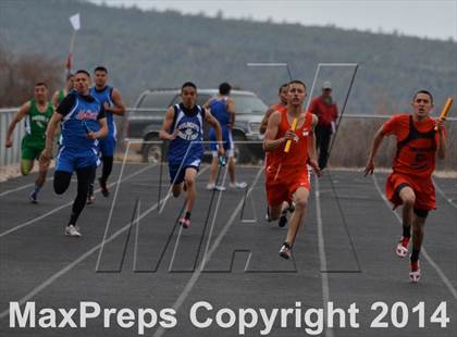 Thumbnail 3 in Questa Wildcats Relays photogallery.
