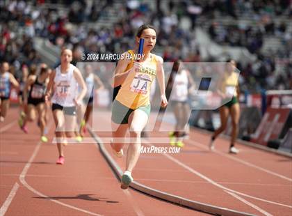 Thumbnail 1 in Penn Relays (4 X 400 Meter) photogallery.