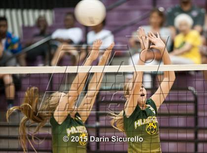 Thumbnail 1 in Hamilton vs. Horizon photogallery.