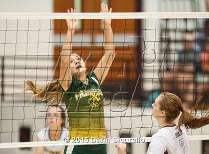 Thumbnail 1 in Hamilton vs. Horizon photogallery.