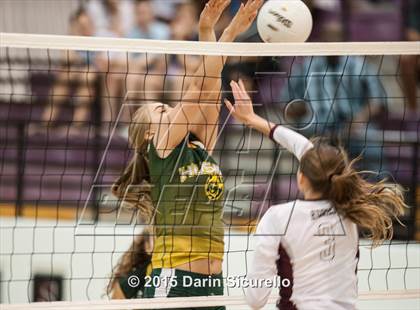 Thumbnail 1 in Hamilton vs. Horizon photogallery.