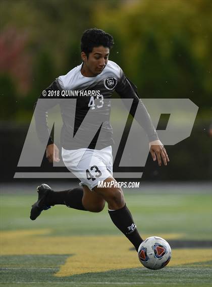Thumbnail 1 in Shepard vs Chicago Mt. Carmel (IHSA 3A Regional Playoff) photogallery.