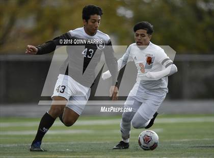 Thumbnail 2 in Shepard vs Chicago Mt. Carmel (IHSA 3A Regional Playoff) photogallery.
