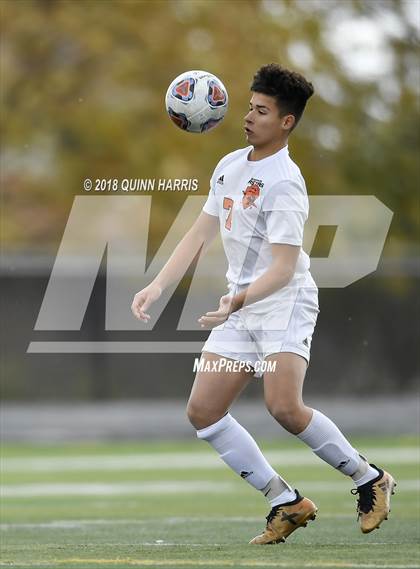Thumbnail 1 in Shepard vs Chicago Mt. Carmel (IHSA 3A Regional Playoff) photogallery.
