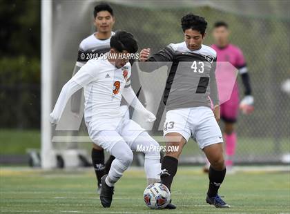 Thumbnail 1 in Shepard vs Chicago Mt. Carmel (IHSA 3A Regional Playoff) photogallery.