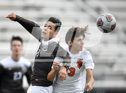 Thumbnail 1 in Shepard vs Chicago Mt. Carmel (IHSA 3A Regional Playoff) photogallery.