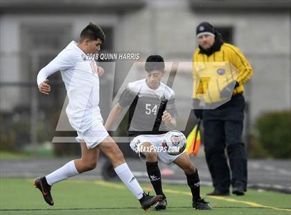 Thumbnail 2 in Shepard vs Chicago Mt. Carmel (IHSA 3A Regional Playoff) photogallery.