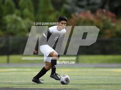 Thumbnail 1 in Shepard vs Chicago Mt. Carmel (IHSA 3A Regional Playoff) photogallery.