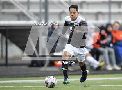 Thumbnail 1 in Shepard vs Chicago Mt. Carmel (IHSA 3A Regional Playoff) photogallery.