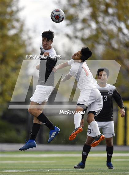 Thumbnail 1 in Shepard vs Chicago Mt. Carmel (IHSA 3A Regional Playoff) photogallery.