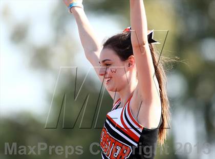 Thumbnail 2 in Webster Groves @ Hazelwood Central photogallery.