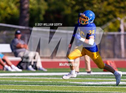 Thumbnail 3 in Freedom @ Foothill photogallery.