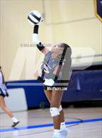 Photo from the gallery "Seabreeze @ Mainland"