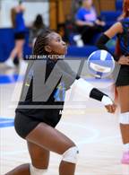 Photo from the gallery "Seabreeze @ Mainland"