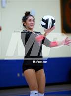 Photo from the gallery "Seabreeze @ Mainland"