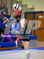 Photo from the gallery "Seabreeze @ Mainland"