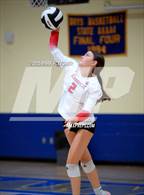 Photo from the gallery "Seabreeze @ Mainland"