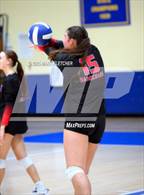 Photo from the gallery "Seabreeze @ Mainland"