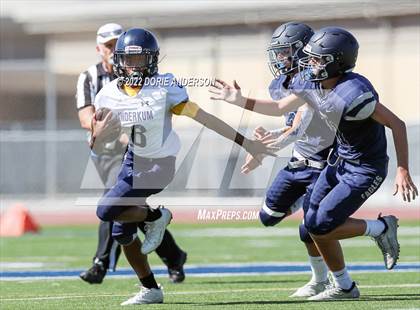 Thumbnail 3 in Inderkum @ Vista del Lago photogallery.