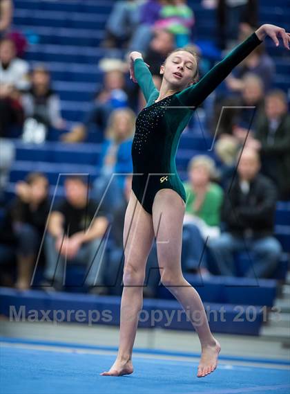 Thumbnail 2 in Loudoun Valley, Loudoun County, Tuscarora, Broad Run, Heritage @ Woodgrove photogallery.
