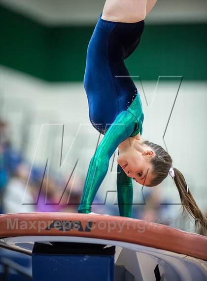 Thumbnail 1 in Loudoun Valley, Loudoun County, Tuscarora, Broad Run, Heritage @ Woodgrove photogallery.