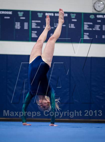 Thumbnail 2 in Loudoun Valley, Loudoun County, Tuscarora, Broad Run, Heritage @ Woodgrove photogallery.