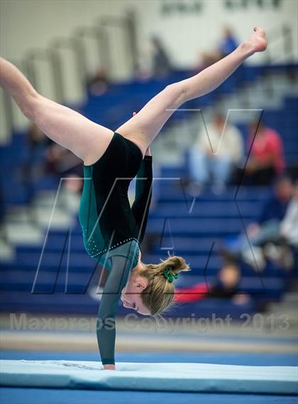 Thumbnail 3 in Loudoun Valley, Loudoun County, Tuscarora, Broad Run, Heritage @ Woodgrove photogallery.