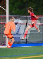 Photo from the gallery "Webster Thomas @ Fairport"