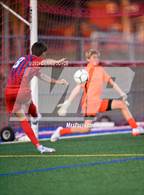 Photo from the gallery "Webster Thomas @ Fairport"