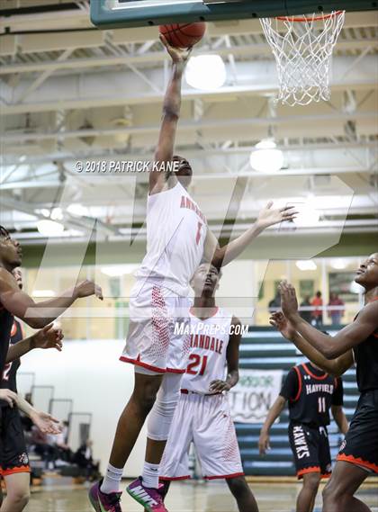 Thumbnail 3 in Hayfield vs. Annandale (George Long Holiday Hoops Tournament) photogallery.