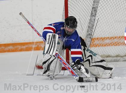 Thumbnail 1 in Warde/Ludlowe @ Ridgefield/Immaculate photogallery.