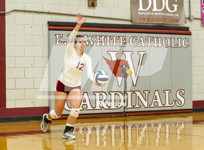Thumbnail 1 in Central Catholic @ E.D. White photogallery.