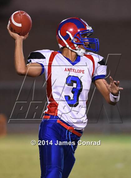 Thumbnail 1 in Antelope @ Northwest Christian photogallery.
