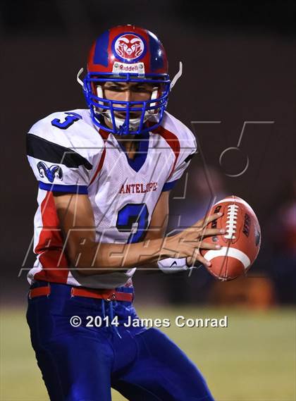 Thumbnail 2 in Antelope @ Northwest Christian photogallery.