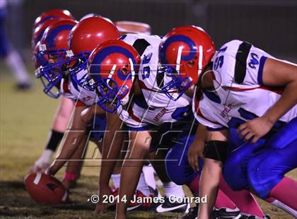 Thumbnail 3 in Antelope @ Northwest Christian photogallery.