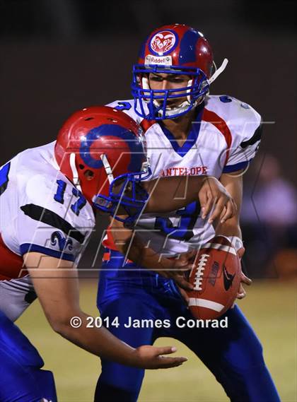 Thumbnail 3 in Antelope @ Northwest Christian photogallery.