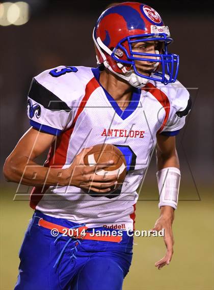 Thumbnail 1 in Antelope @ Northwest Christian photogallery.
