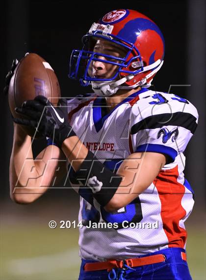 Thumbnail 2 in Antelope @ Northwest Christian photogallery.