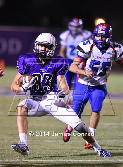 Thumbnail 2 in Antelope @ Northwest Christian photogallery.