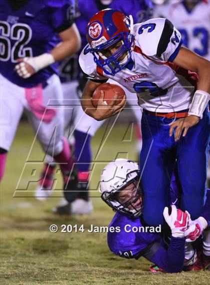 Thumbnail 3 in Antelope @ Northwest Christian photogallery.