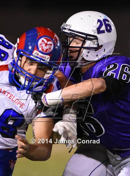 Thumbnail 3 in Antelope @ Northwest Christian photogallery.