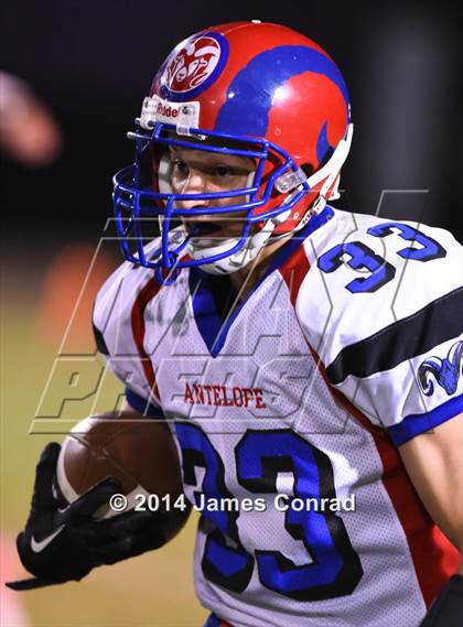 Thumbnail 1 in Antelope @ Northwest Christian photogallery.