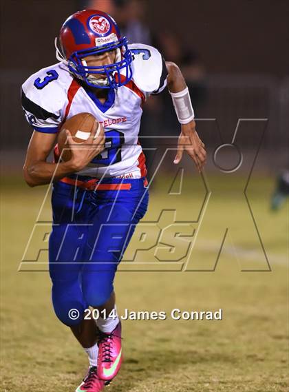 Thumbnail 3 in Antelope @ Northwest Christian photogallery.