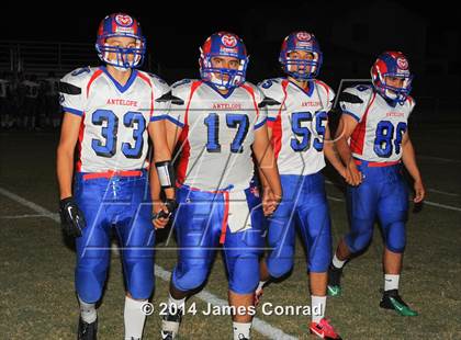 Thumbnail 3 in Antelope @ Northwest Christian photogallery.