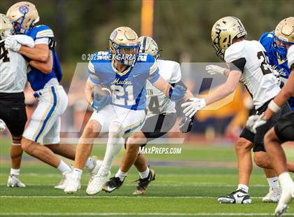 Thumbnail 3 in Seguin @ Alamo Heights photogallery.