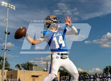 Thumbnail 1 in Seguin @ Alamo Heights photogallery.