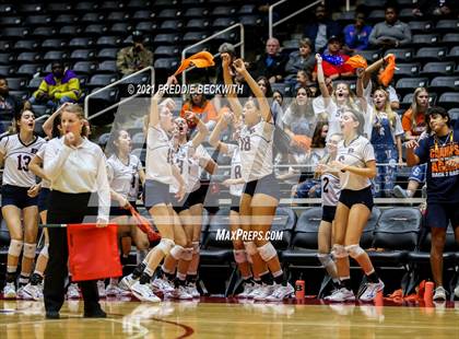 Thumbnail 2 in Brandeis vs. Bridgeland (UIL Volleyball 6A Semi-Finals)  photogallery.